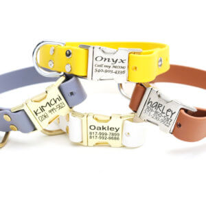 high desert waterproof side release dog collars engraved