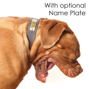 Nameplate waterproof dog collar