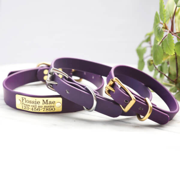 Waterproof Dog Collar With Nameplate 20 Colors Mimi Green