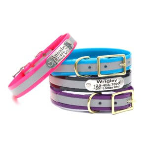 waterproof reflective name plate collar stack biothane