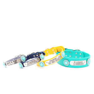 waterproof belt buckle w beaded conchos