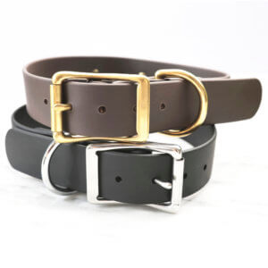 wide hunting dog collar