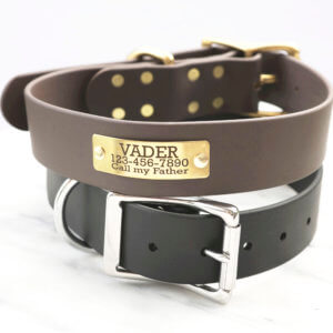 wide hunting nameplate dog collar