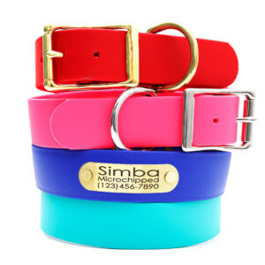 wide colorful waterproof dog collar for big dogs