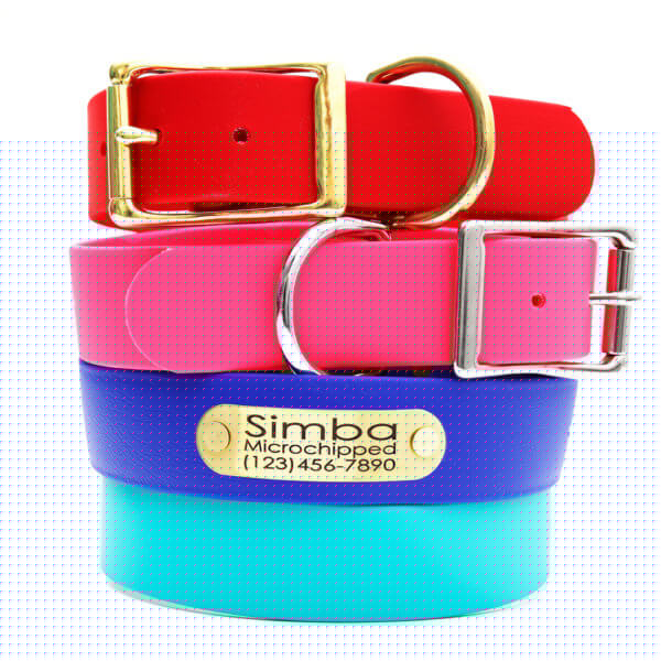 wide colorful waterproof dog collar for big dogs