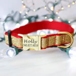 Holiday Glitter Dog Collar with Personalized Buckle