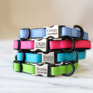 Small Dog Collars Customize