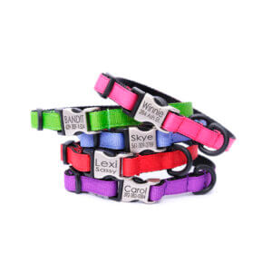 colorful puppy collar personalized