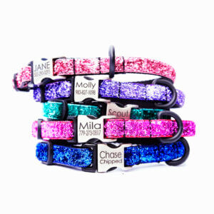 glitter puppy collar personalized