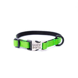 green puppy collar personalized