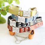 Leather Martingale Dog Collar with Engraved Buckle