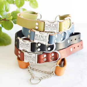 leather martingale dog collar