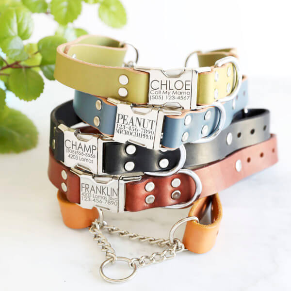 leather martingale dog collar