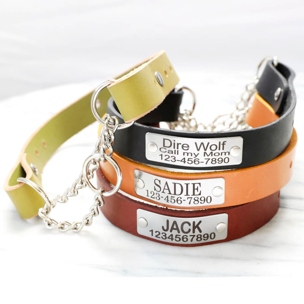Leather Martingale Dog Collar with Personalized Nameplate
