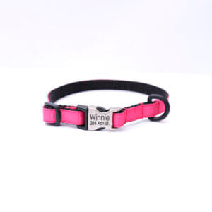 pink puppy collar personalized