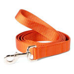 DD: Pumpkin Webbing Leash