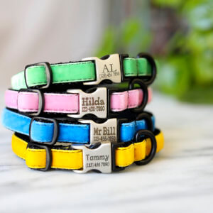 Small Dog Collars Customize