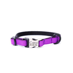 purple puppy collar personalized