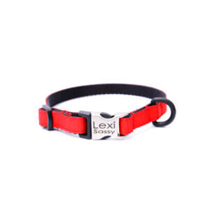 red puppy collar personalized