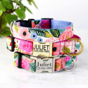 feminine dog collar rifle paper co