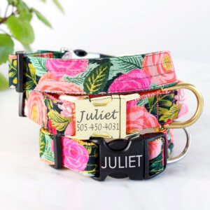 juliet floral dog collar rifle paper co