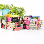 'Juliet' Feminine Dog Collar - with Optional Personalization