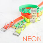 DD: Neon Waterproof Soft Grip Dog Collar - Optional Personalization