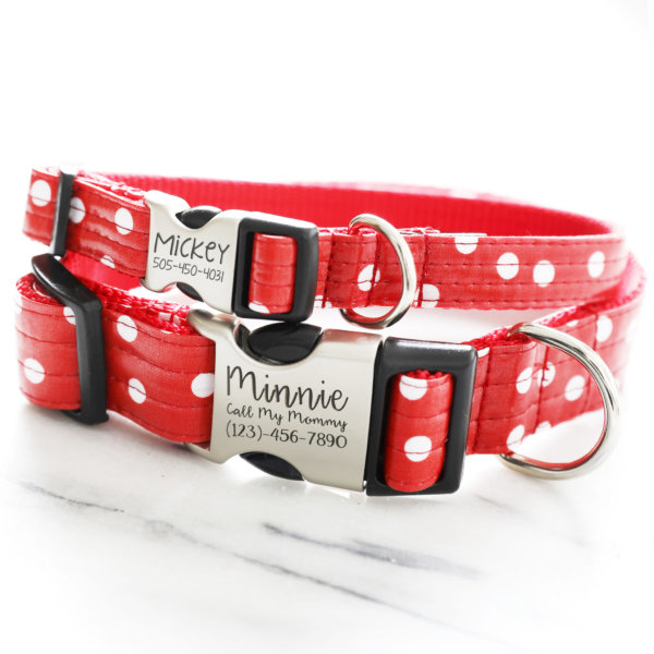 minne collar polka dot