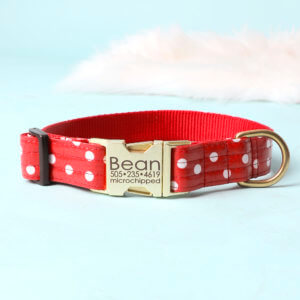 minnie collar gold buckle