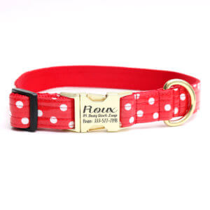 minnie collar gold buckle