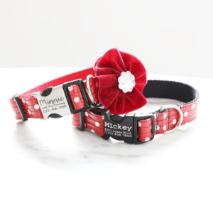 minnnie mickey dog collar flower