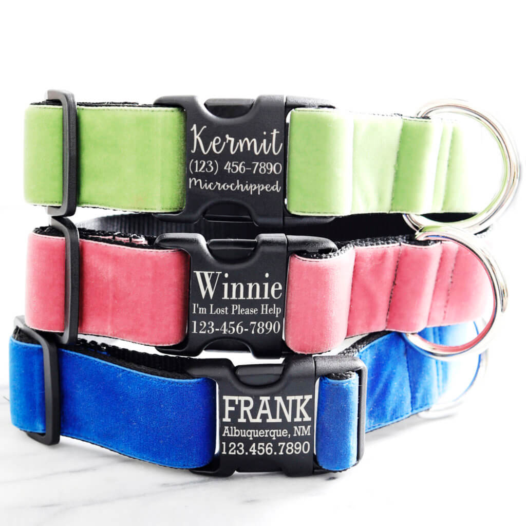 wide velvet dog collar engraved