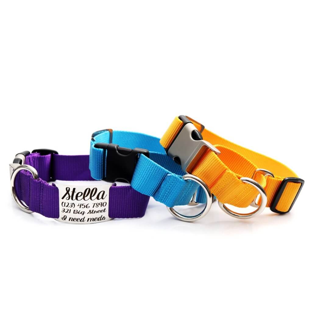 1.5 Inch Wide Martingale Dog Collar for Big Dogs + Greyhounds Optional