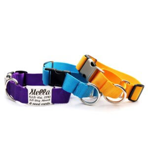 1.5_ nylon quick release martingale w nameplate 1.5