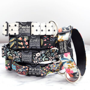 Canvas Dog Collars