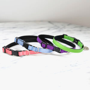 colorful cat collar