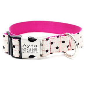 dottie wide dog collar for big girl dogs