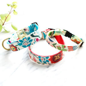 frida dog collar colorful