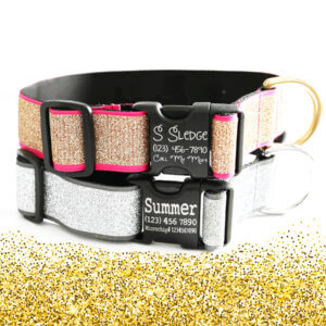 large dog glitter collar