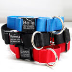 DD: 1.5 Inch WIDE Martingale Dog Collar for Big Dogs + Greyhounds Optional ID Engraving