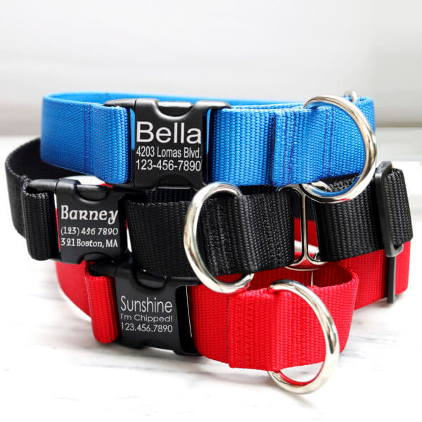martingale for large dog