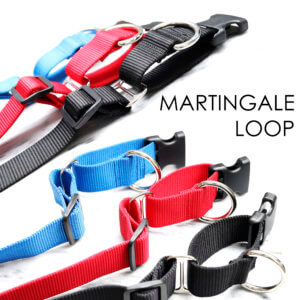 martingale loop