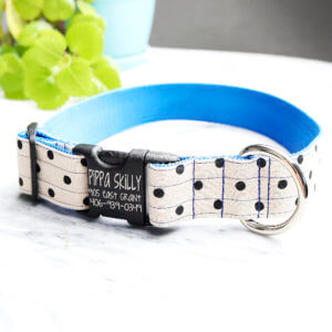 polka dog big dog collar