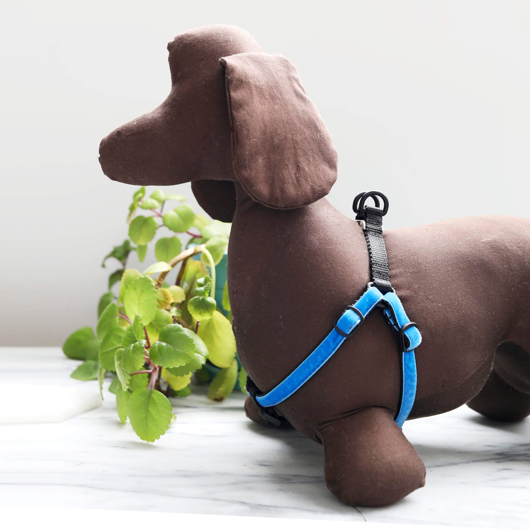 designer dog harness