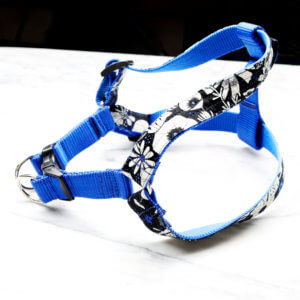Moonlight Dog harness