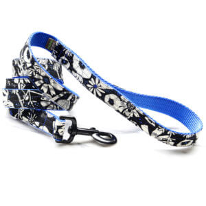 Moonlight Dog leash