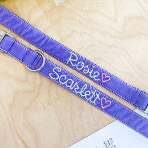 embroidered purple dog collar violet