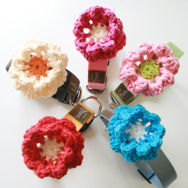 dog collar flowers