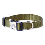 Army Green Nylon Webbing Dog Collar