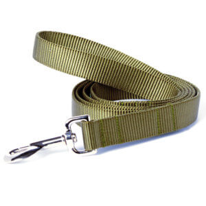Army green dog leash